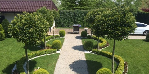 Dekorativní stromy pro zdobení vašich stránek